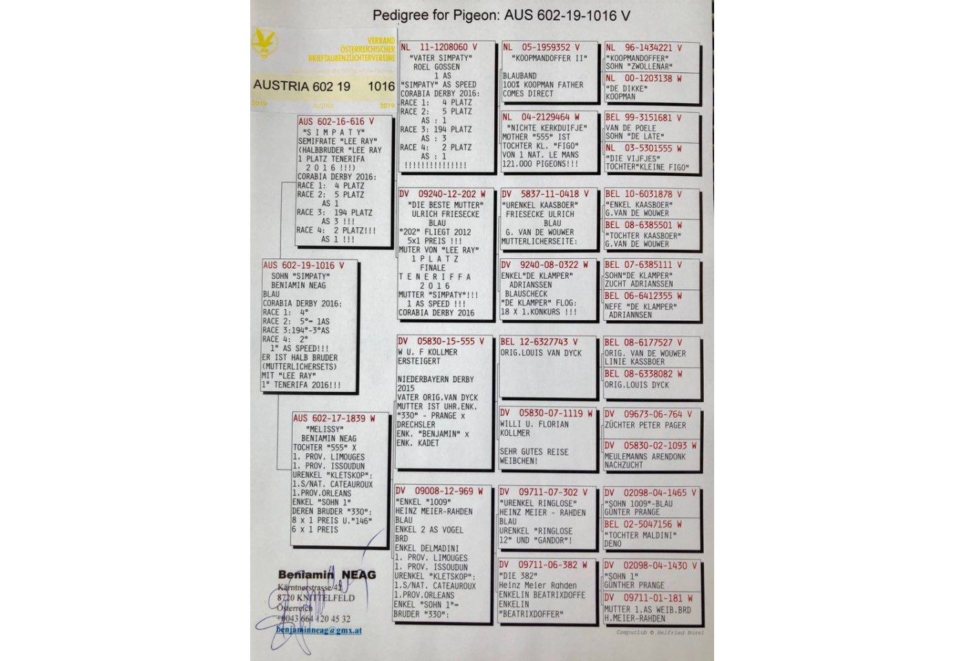 (♂️) Auction AUS 602-19-1016V - Beniamin Neag