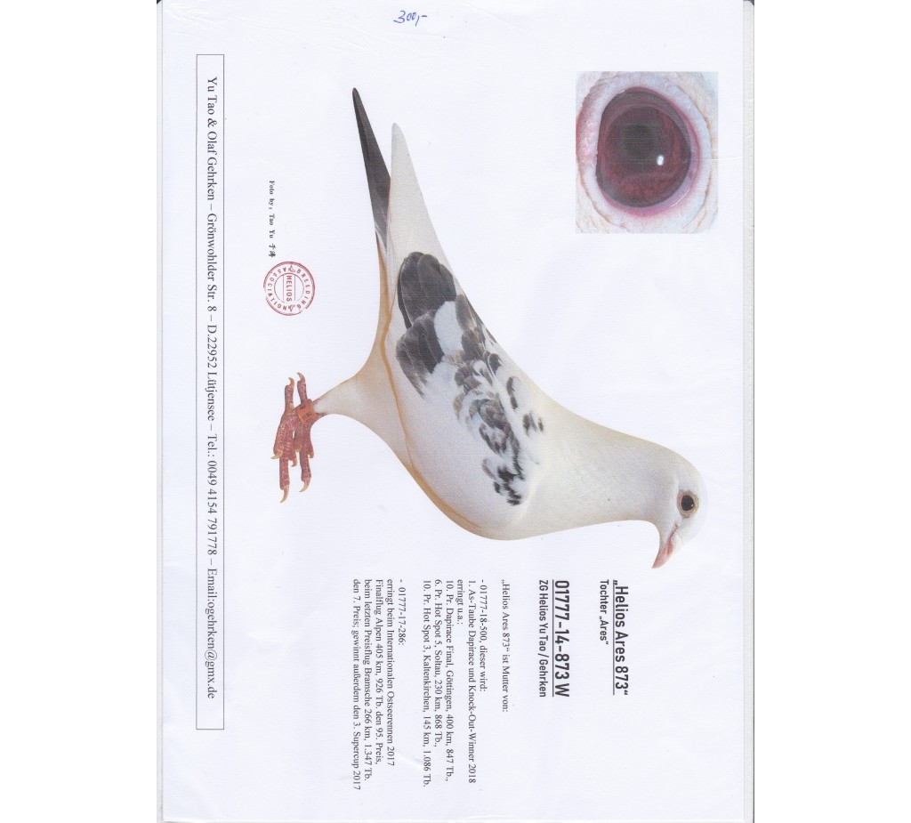 Auction DV-01777-19-398 - Gehrken u. Sohne