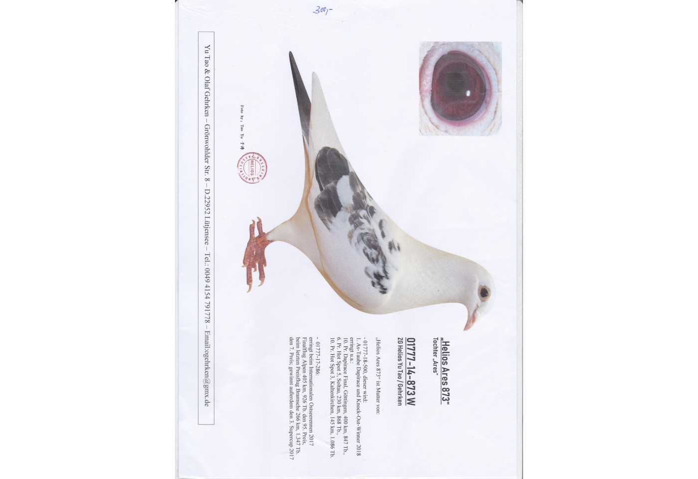 Auction DV-01777-19-398 - Gehrken u. Sohne