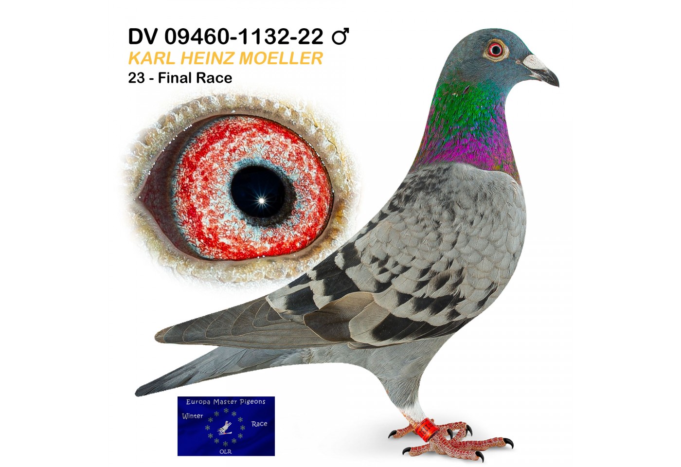 (♂️) 23th place - DV-09460-1132-22 - Karl Heinz Moeller