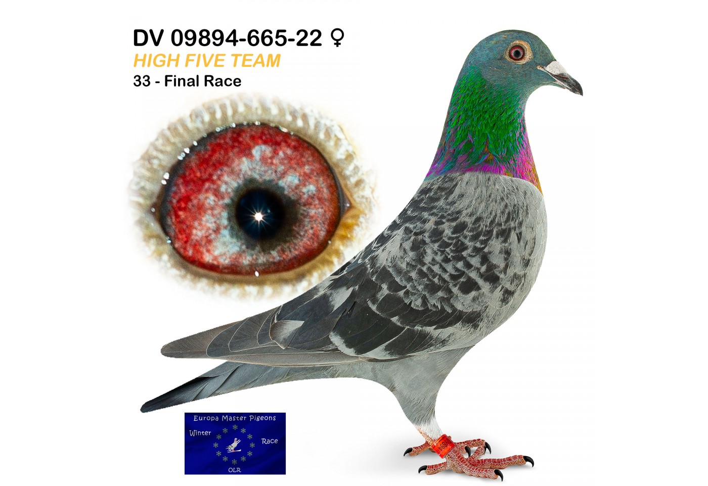 (♀️) 33th place - DV-09894-665-22 - High Five Team