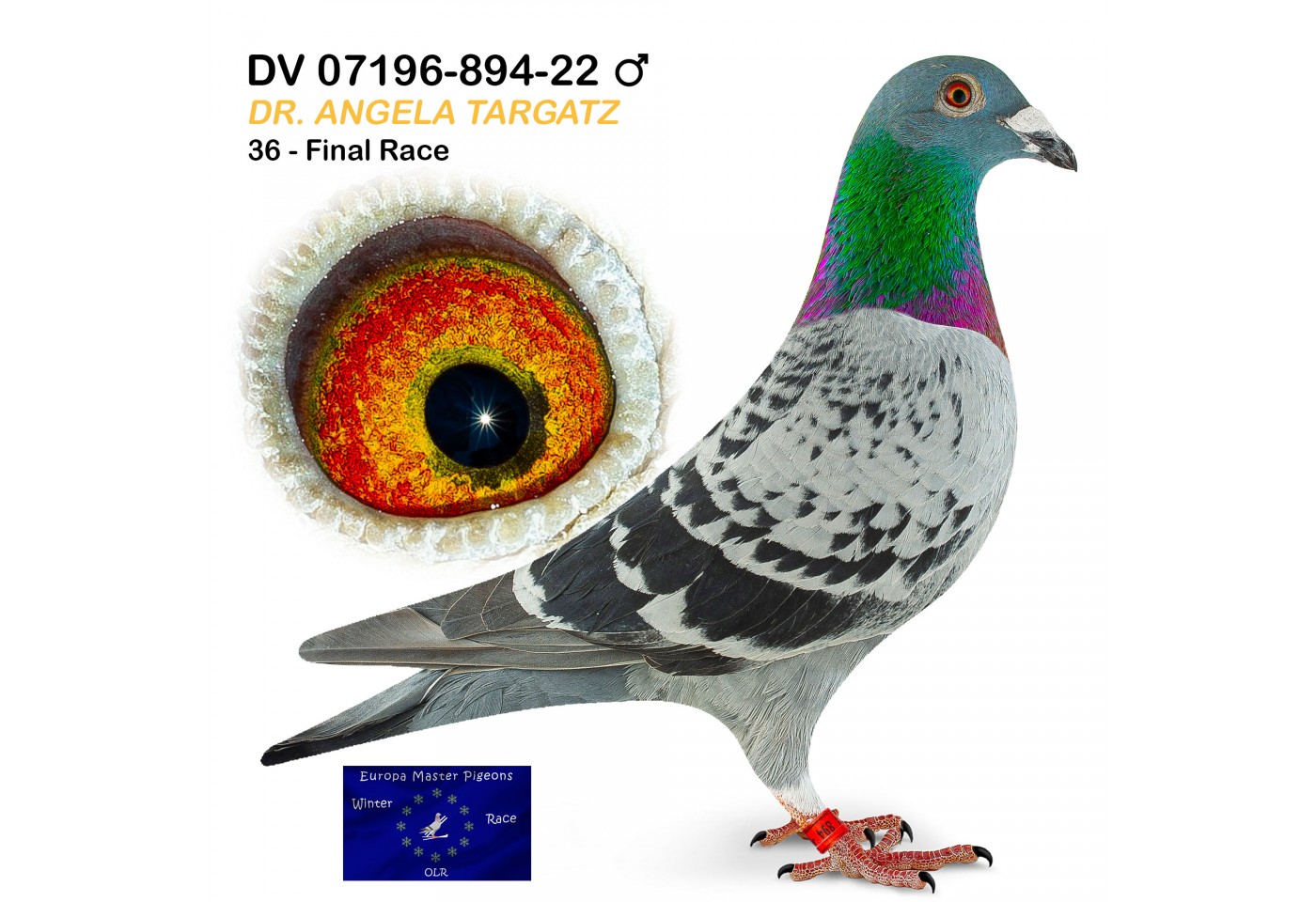 (♀️) 36th place - DV-07196-894-22 - Dr. Angela Targatz
