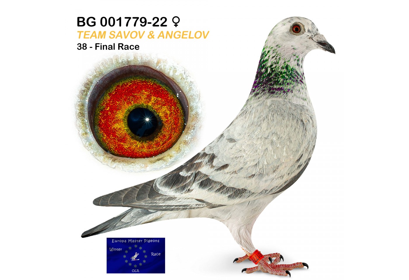 (♀️) 38th place - BG-001779-22 - Team Savov & Angelov