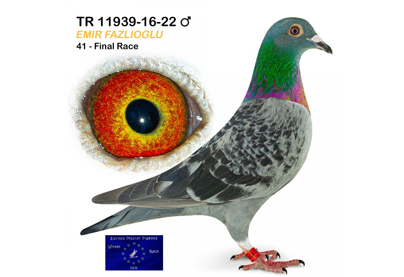 (♂️) 41th place - TR-11939-16-22 - Emir Fazlioglu
