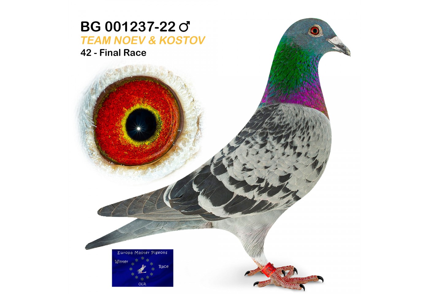(♂️) 42th place - BG-001237-22 - Team Noev & Kostov