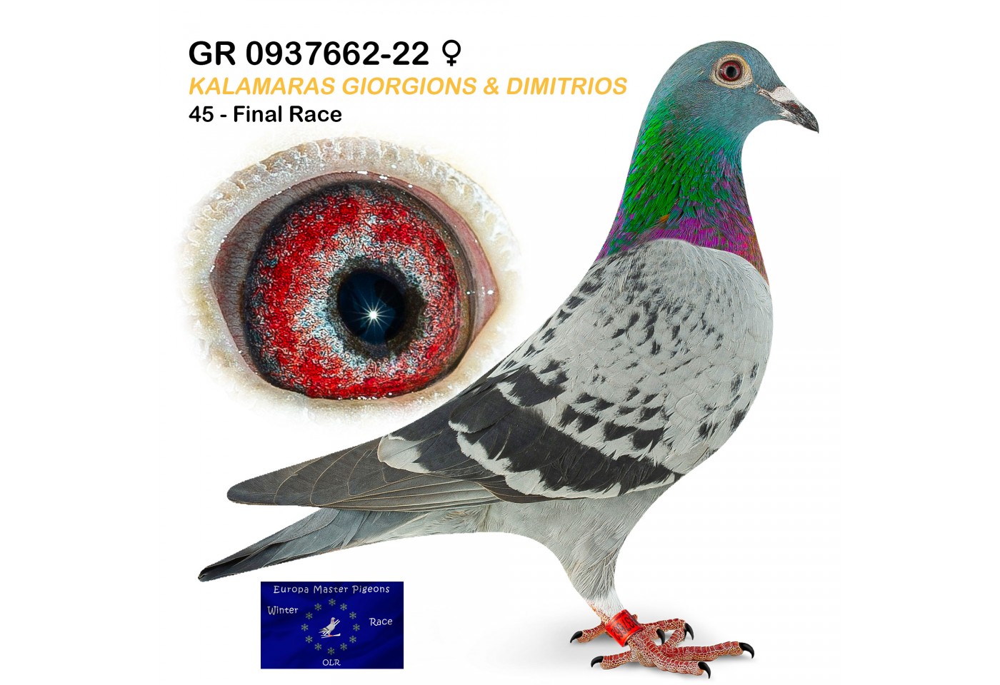 (♀️) 45th place - GR-0937662-22 - Kalmaras Giorgions & Dimitrios