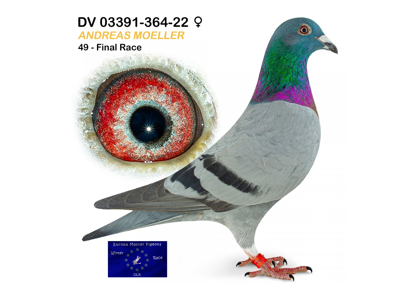 (♀️) 49th place - DV-03391-364-22 - Andreas Moeller
