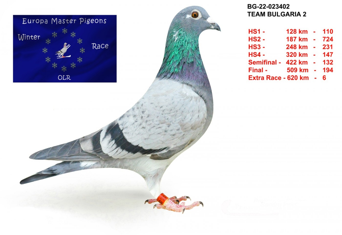 6th place - BG-22-023402 - Team Bulgaria 2