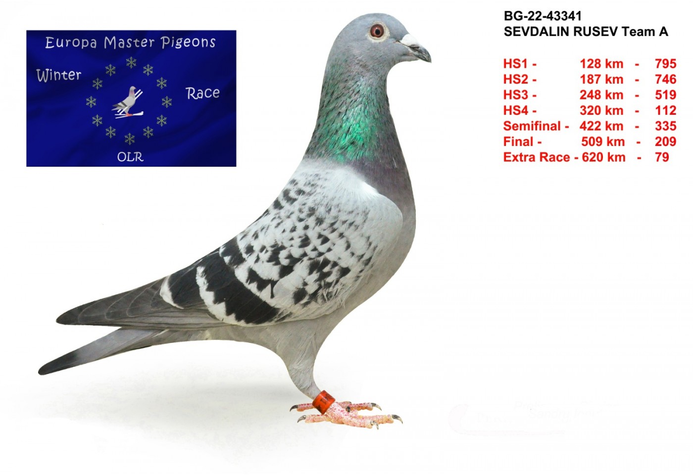 79th place - BG-22-43341 - Sevdalin Rusev Team A