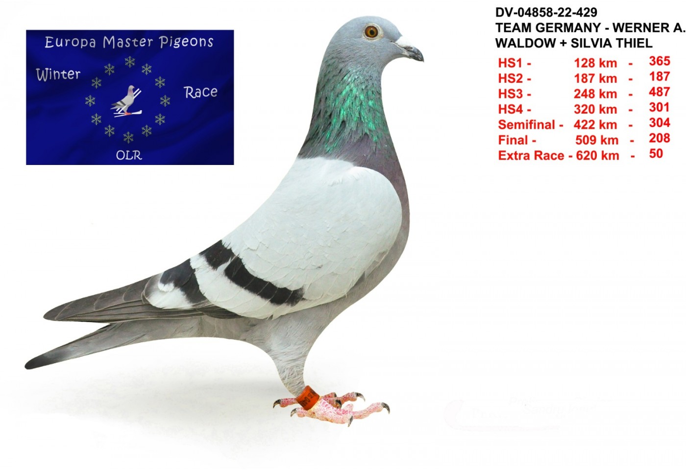 50th place - DV-04858-22-429 - Team Germany - Werner A. Waldow + Silva Thiel