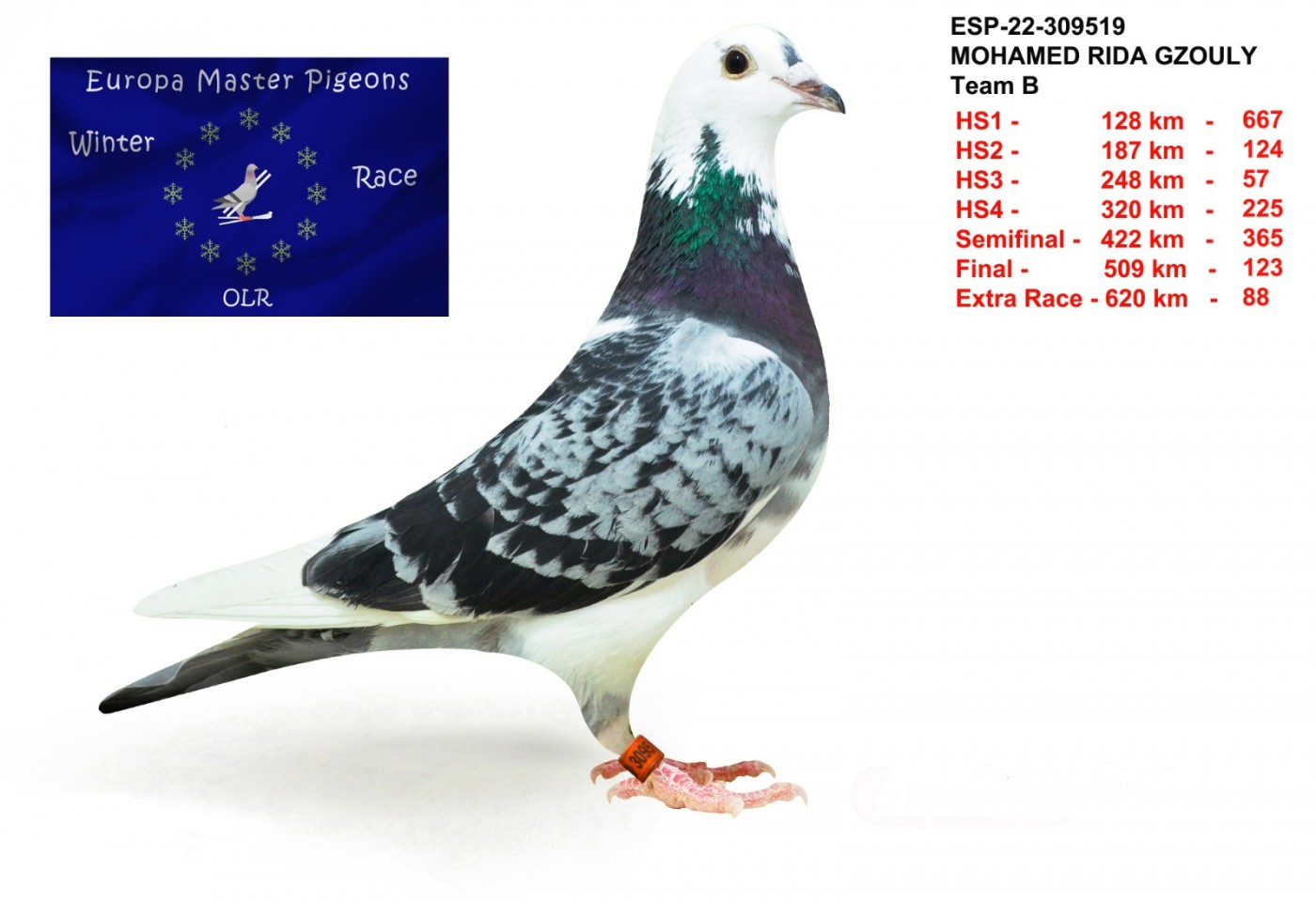88th place - ESP-22-309519 - Mohamed Riga Gzouly