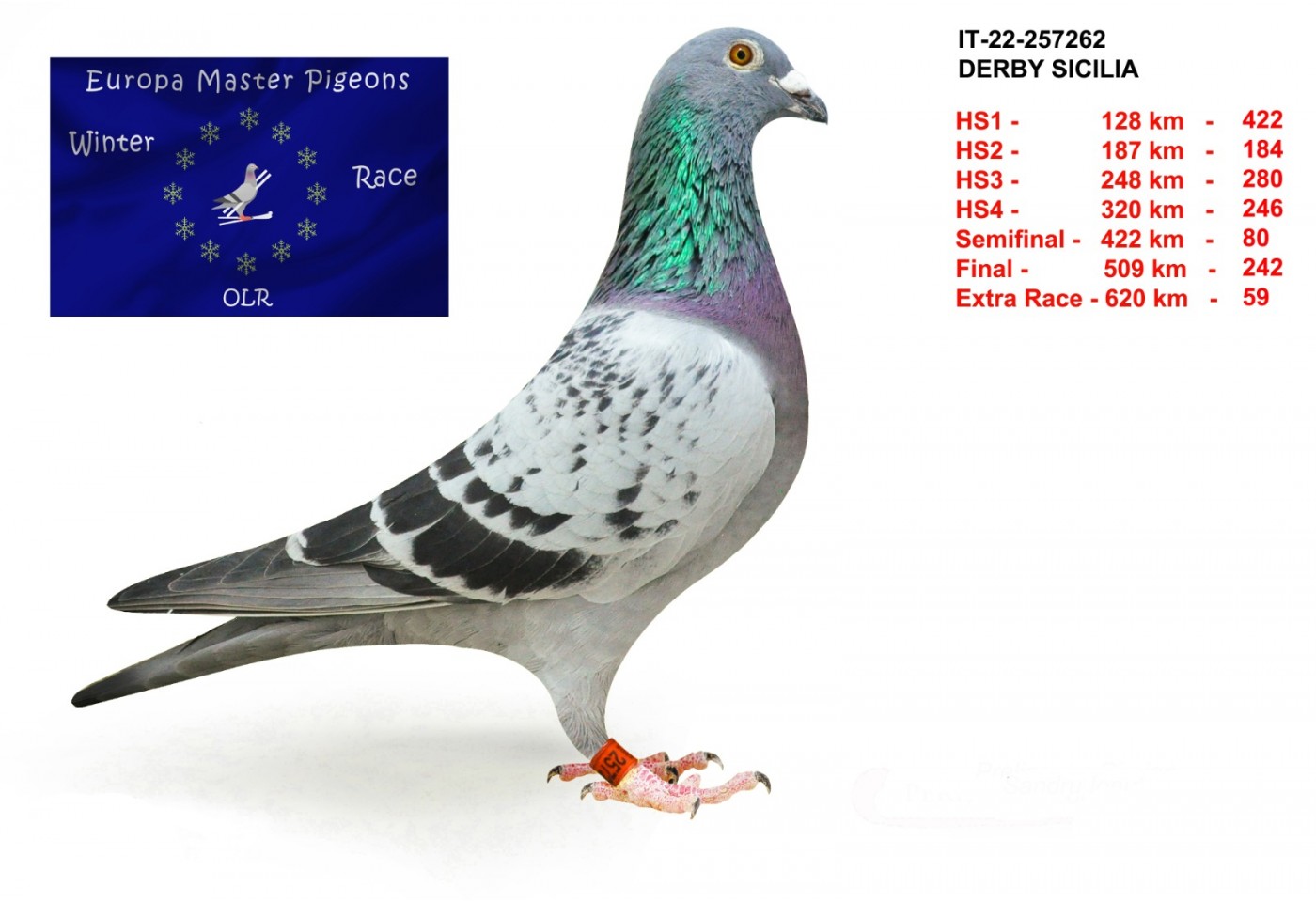 59th place - IT-22-257262 - Derby Sicilia