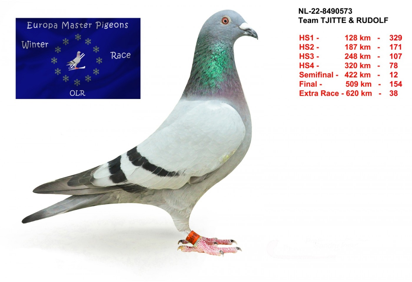 38th place - NL-22-8490573 - Team Thitte & Rudolf