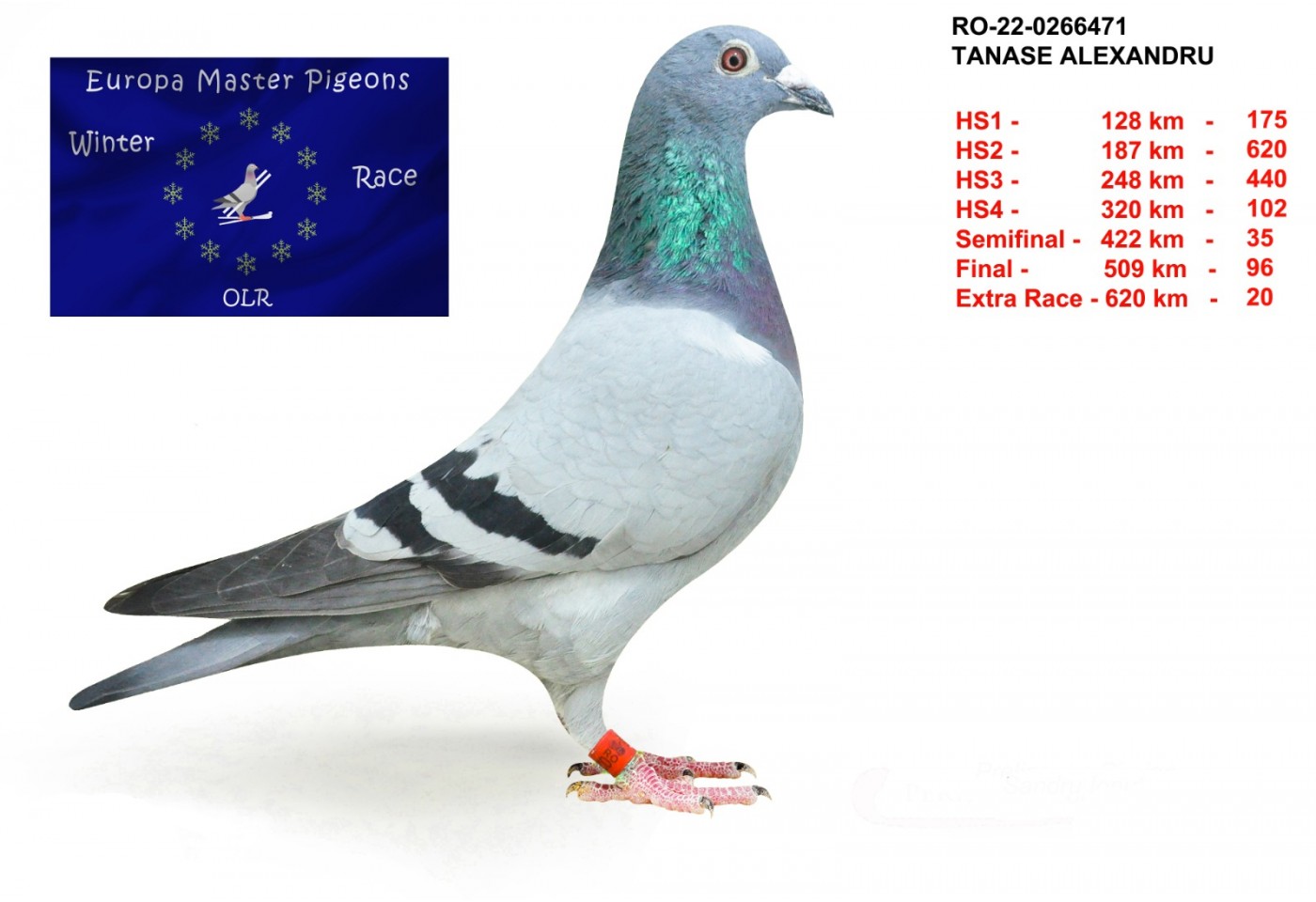 20th place - RO-22-0266471 - Tanase Alexandru