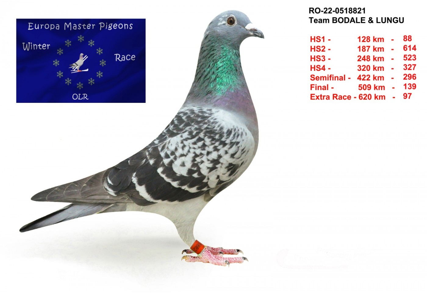 97th place - RO-22-0518821 - Team Bodale & Lungu
