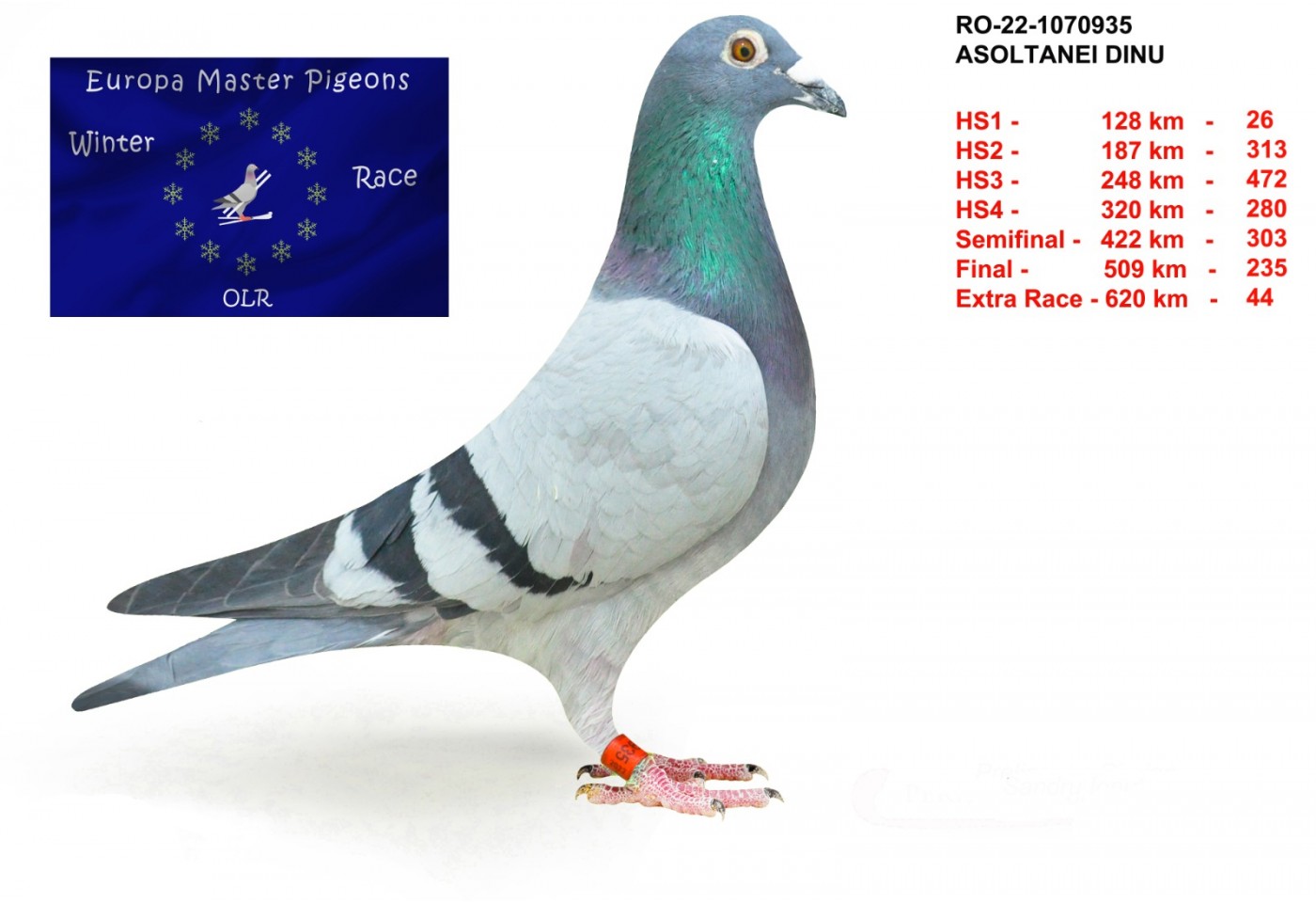 44th place - RO-22-1070935 - Asoltanei Dinu