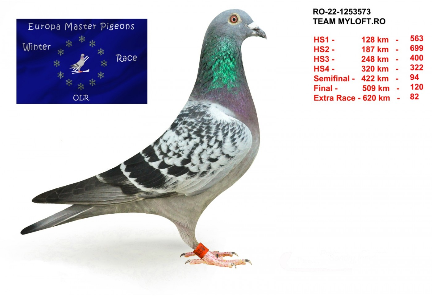 82th place - RO-22-1253573 - Team Myloft.ro