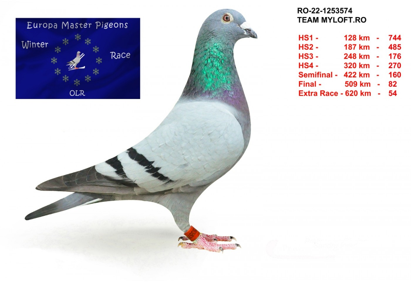 54th place - RO-22-1253574 - Team Myloft.ro
