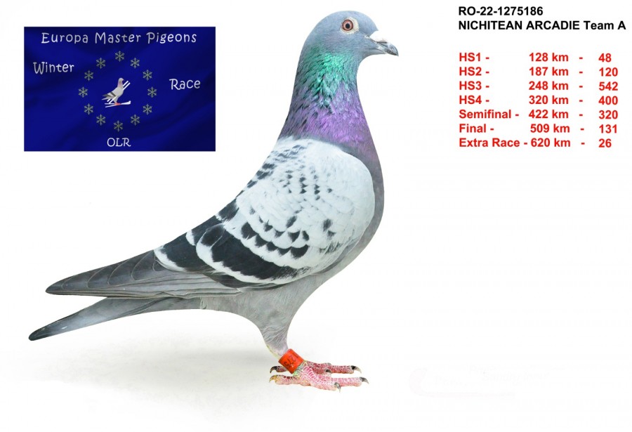 26th place - RO-22-1275186 - Nichitean Arcadie Team A