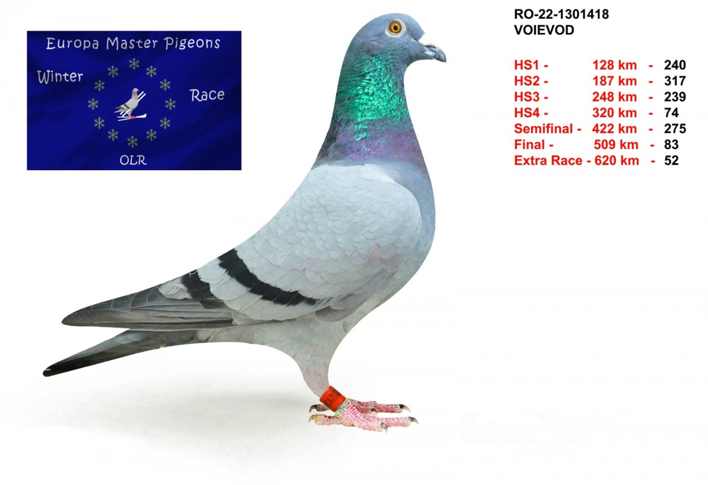 52th place - RO-22-1301418 - Voievod