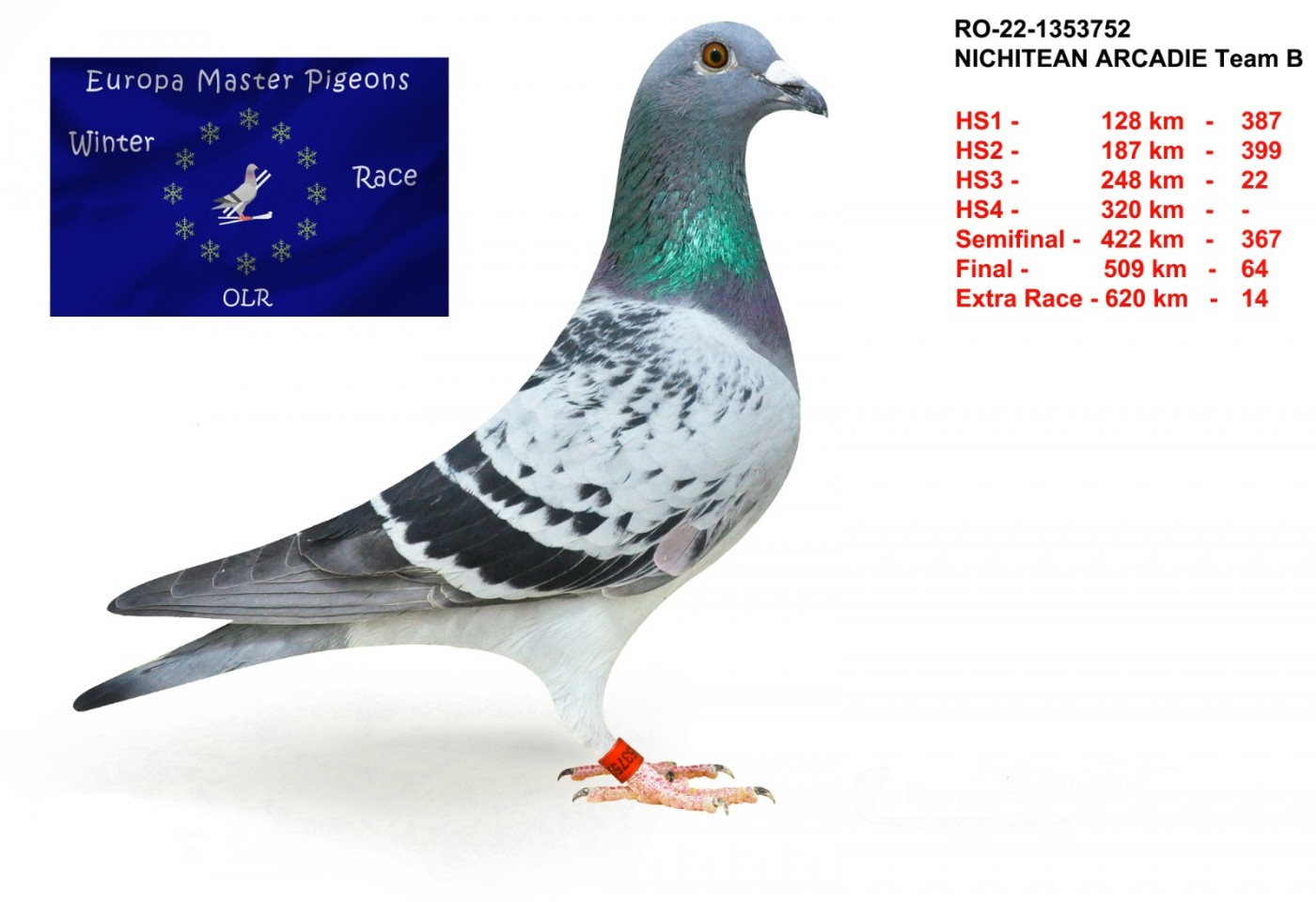 14th place - RO-22-1353752 - Nichitean Arcadie Team B