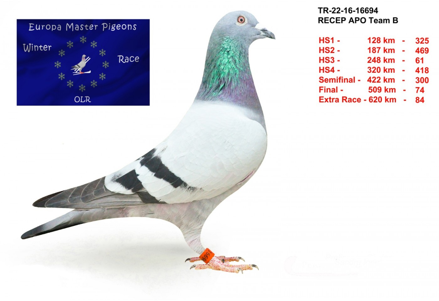 84th place - TR-22-16-16694 - Recep Apo Team B