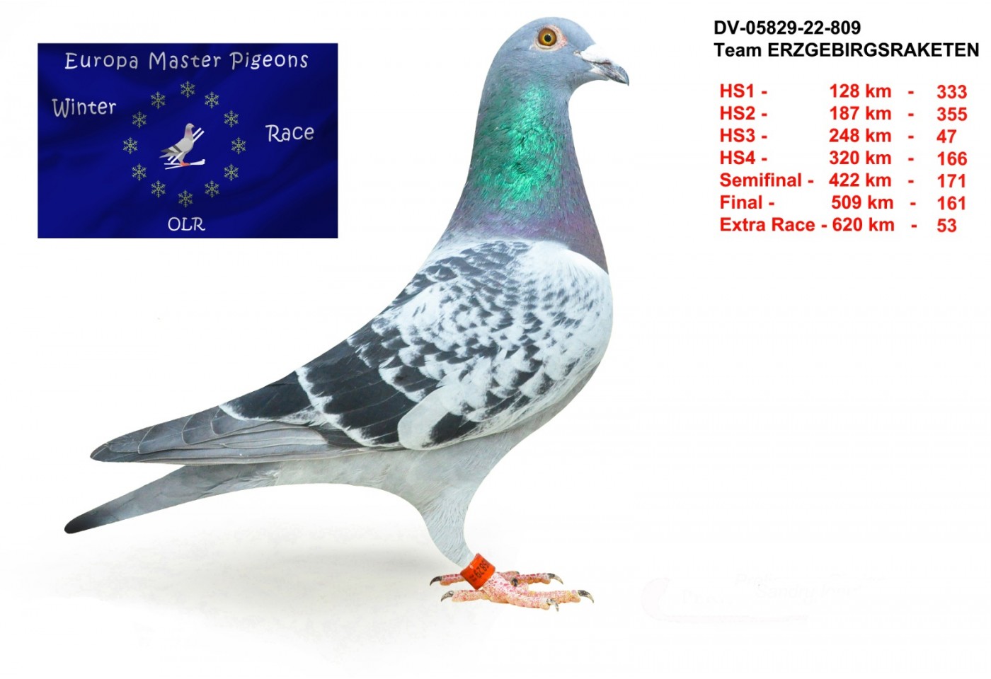 53th place - DV-05829-22-809 - Team Erzgebirgsraketen