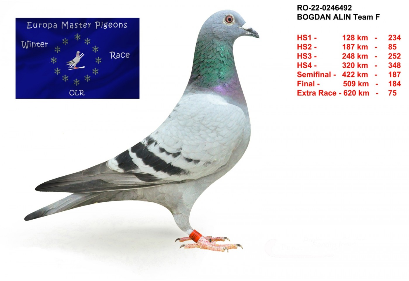 75th place - RO-22-0246492 - Bogdan Alin